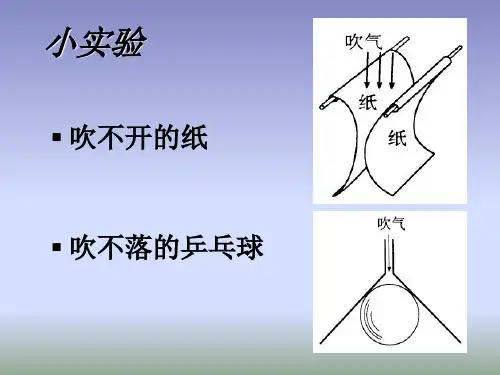 流体力学