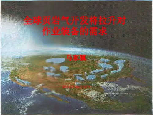 01:页岩气开发