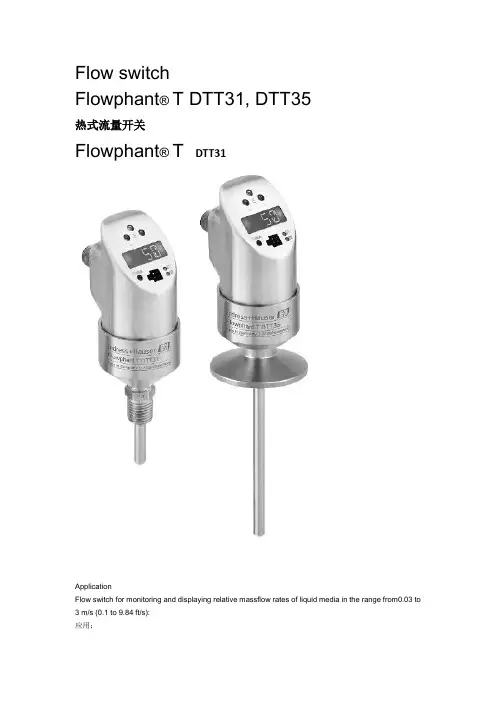 流量开关DTT31