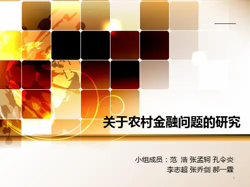 农村金融的发展以及农业发展银行促进农业发展的措施 PPT课件