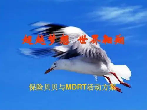 超越梦想 世界翱翔
