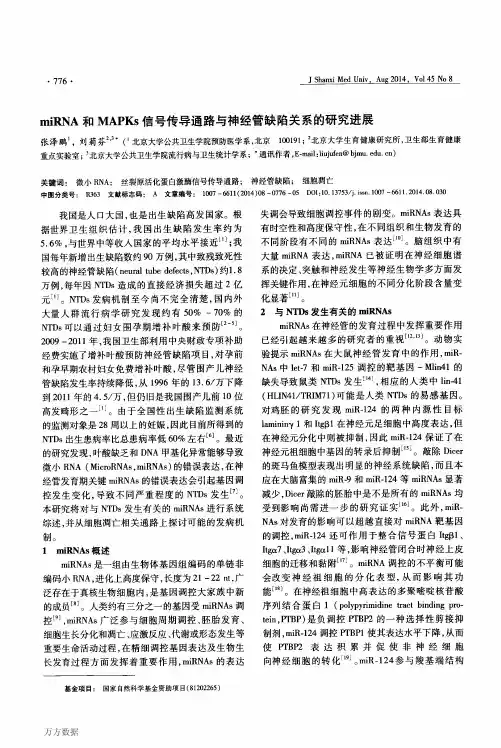 miRNA和MAPKs信号传导通路与神经管缺陷关系的研究进展