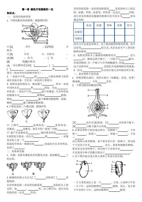 济南版生物八上第一章 绿色开花植物的一生