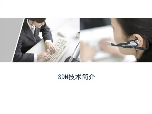 SDN技术简介