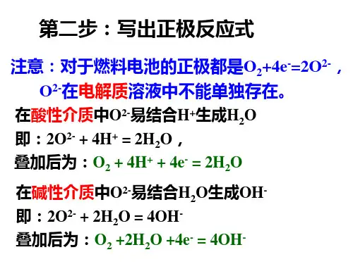 高三化学 电化学 燃料电池