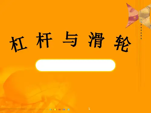 杠杆和滑轮复习(课堂PPT)