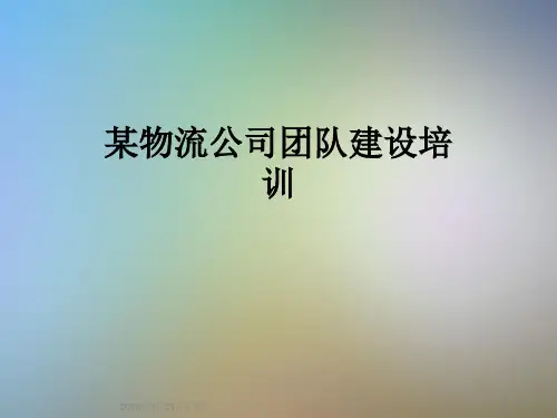 某物流公司团队建设培训