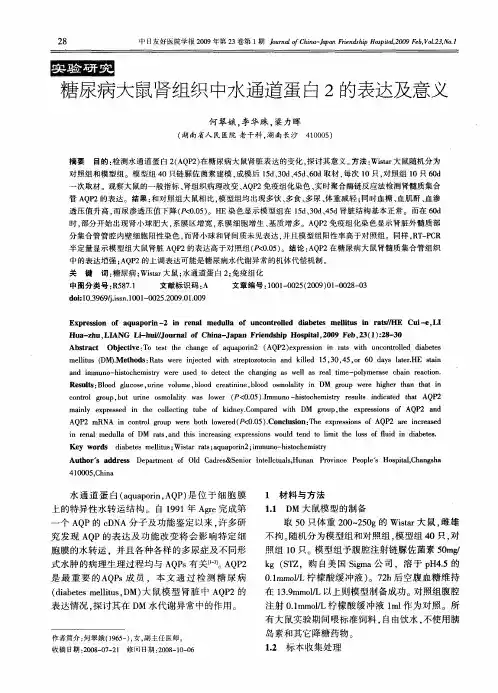 糖尿病大鼠肾组织中水通道蛋白2的表达及意义