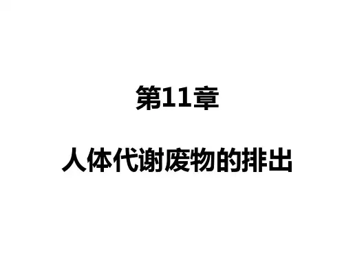 七年级生物下册第11章精讲