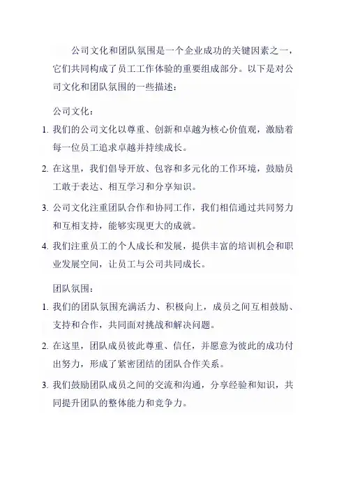 公司文化和团队氛围