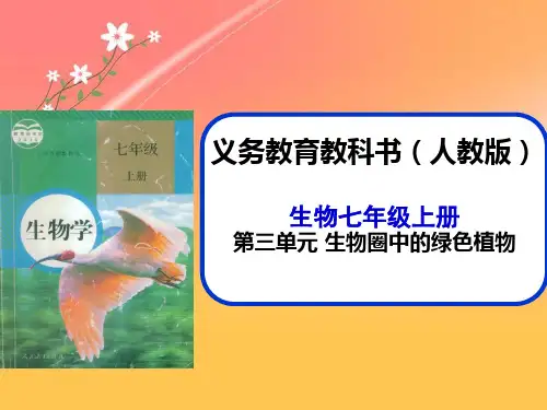 2019-2020年省级说课比赛一等奖:人教部编版生物七年级生物圈中的绿色植物说课稿