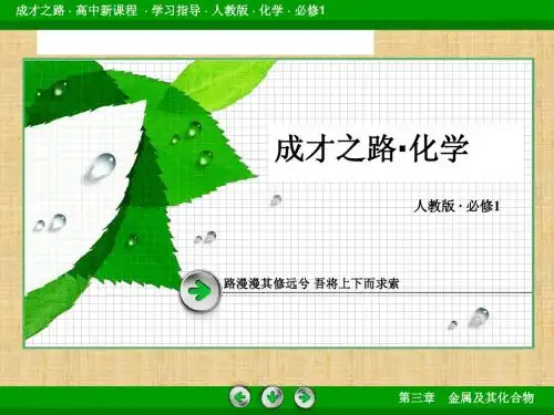 2013-2014学年高一化学必修1课件：钠的重要化合物