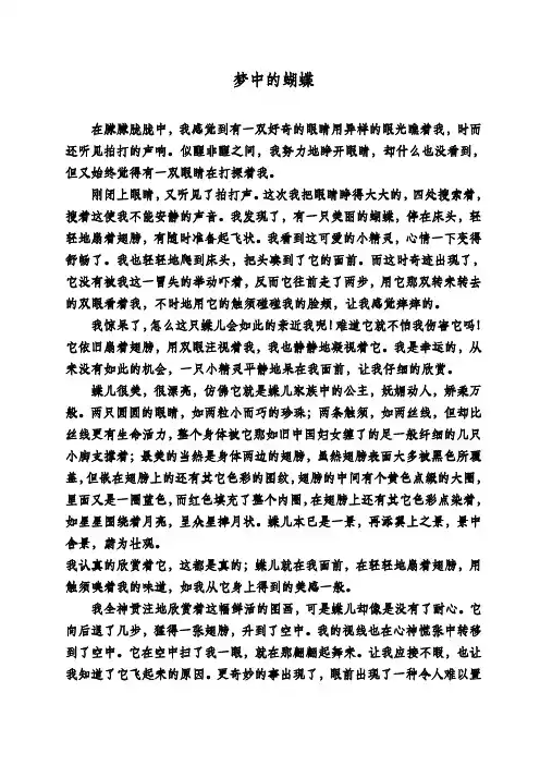 梦中的蝴蝶