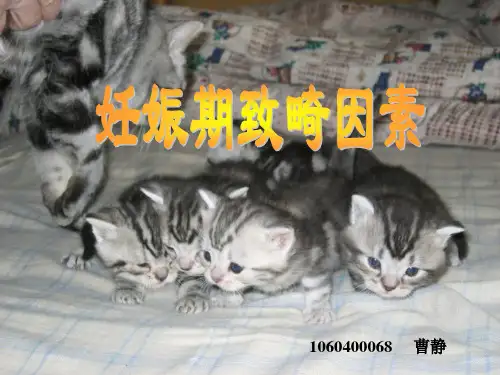 妊娠期致畸因素