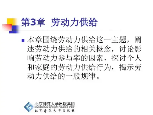 劳动经济学 第3章
