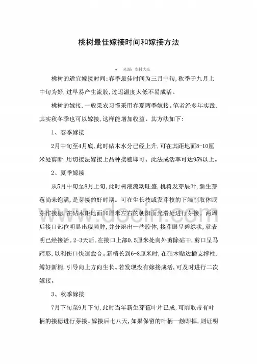 桃树最佳嫁接时间和嫁接方法