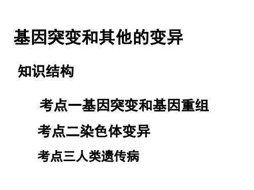 基因突变及其他变异课件1