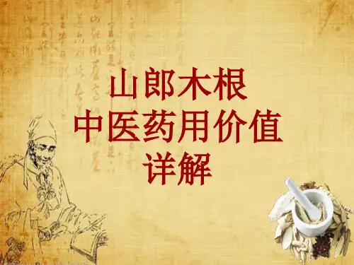 中药学_山郎木根_药材详解课件模板