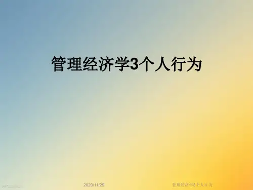 管理经济学3个人行为