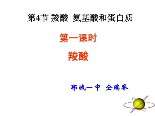 郓城一中 仝瑞乔-羧酸