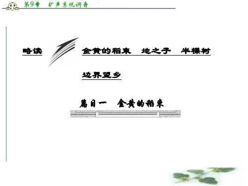 高中语文人教选修《中国现代诗歌散文欣赏》课件：诗歌部分 四略读 金黄的稻束 地之子 半棵树 边界望乡