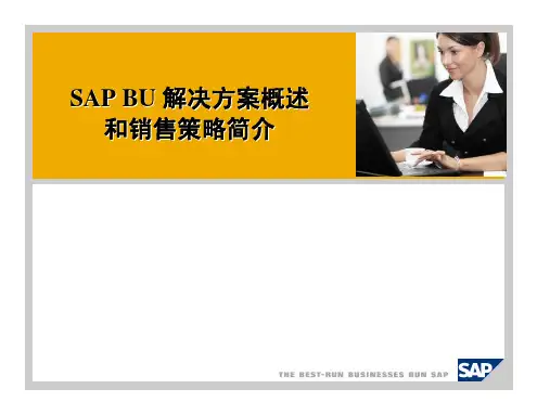 SAP BU solution Overview Chinese Version