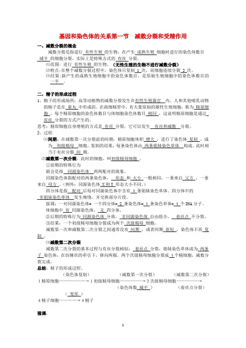 高中生物必修二基因和染色体的关系第一节  减数分裂和受精作用(知识点+练习)讲课教案