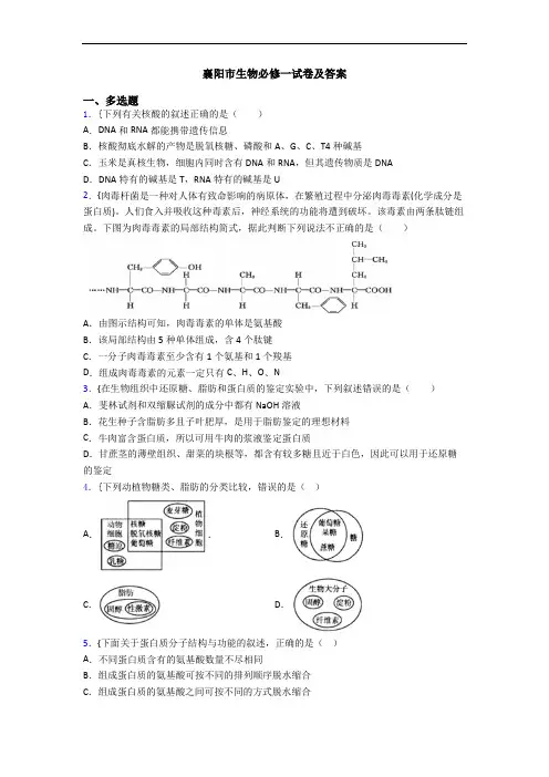 襄阳市生物必修一试卷及答案
