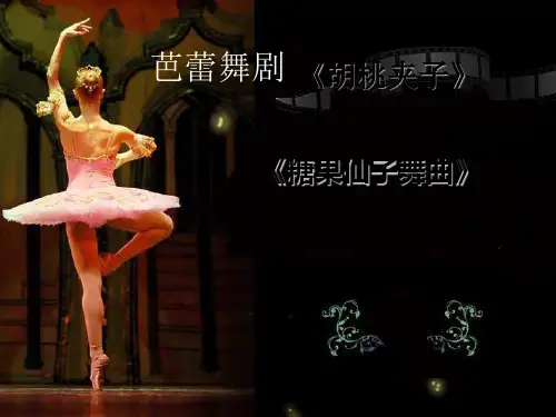 《糖果仙人舞曲》PPT课件
