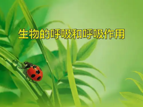 《生物的呼吸和呼吸作用》PPT-模板