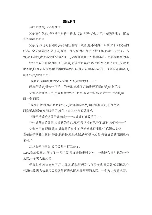 关于承诺的满分作文：爱的承诺