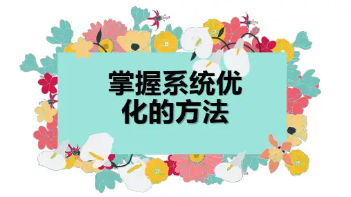 掌握系统优化的方法