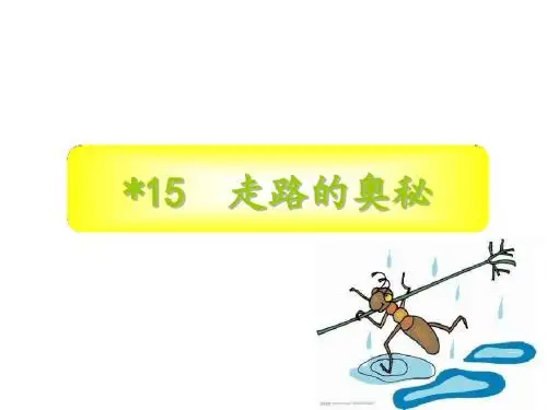 沪教 三年级 语文上册15《走路的奥秘》ppt