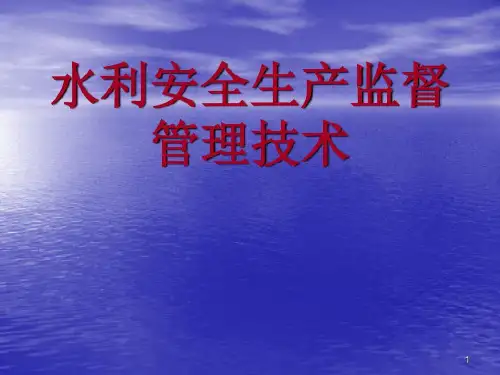 水利工程安全生产培训-文档资料28页PPT