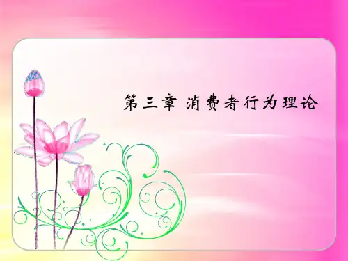 第3章消费者行为理论