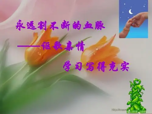 讴歌亲情作文