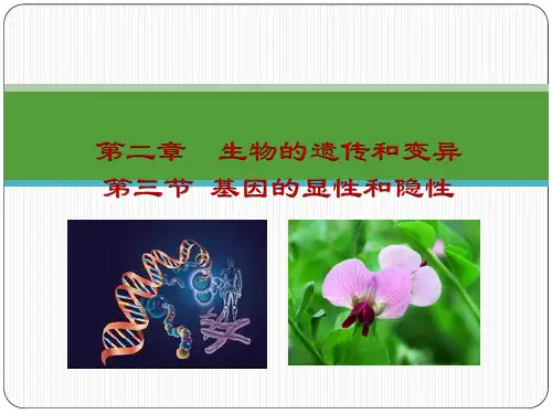 基因的显性和隐性(共38张PPT)