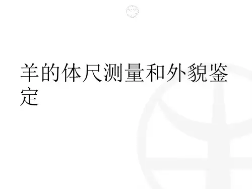 项目二羊的体尺测量和外貌鉴定