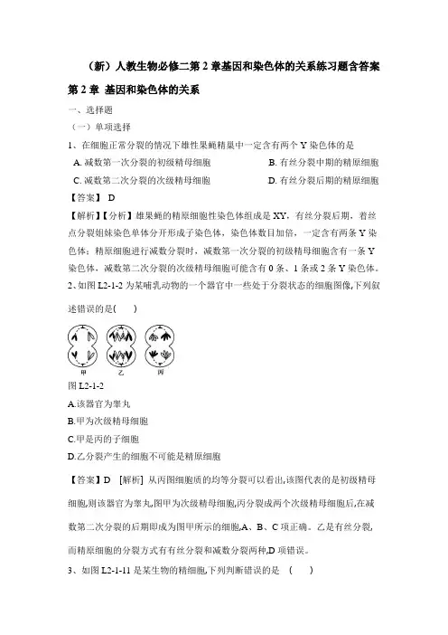 2019—2020(新)人教生物必修二第2章基因和染色体的关系练习题含答案