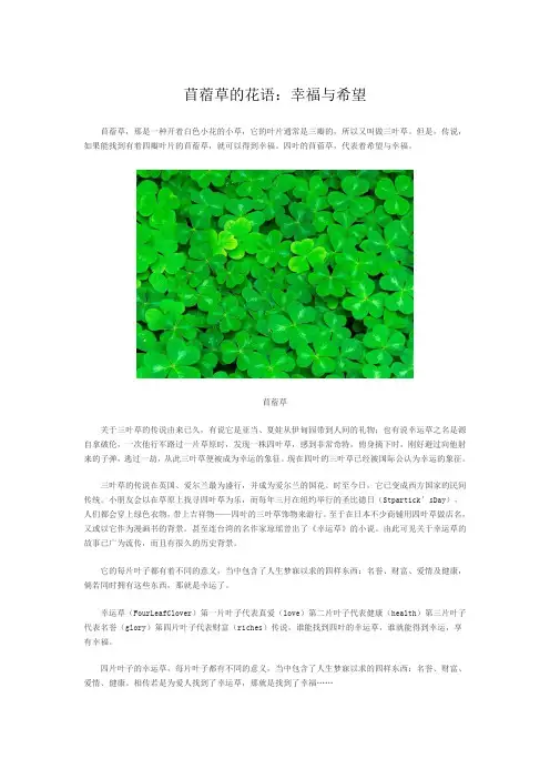 苜蓿草