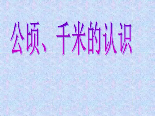 认识1公顷有多大
