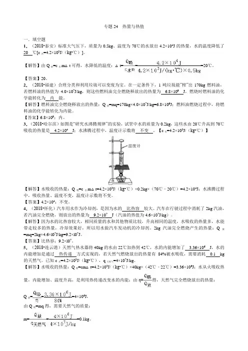 物理中考真题专题复习 专题24  热量与热值