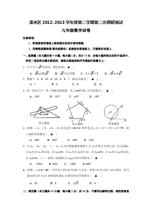 南京市溧水区中考二模数学试卷及答案