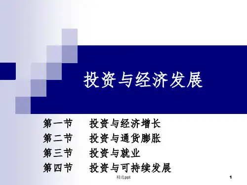 《投资与经济发展》PPT课件