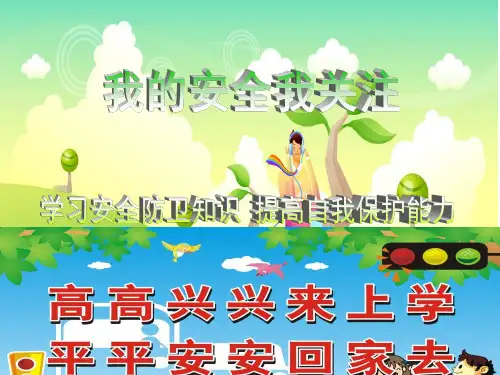学生安全教育主题班会 PPT