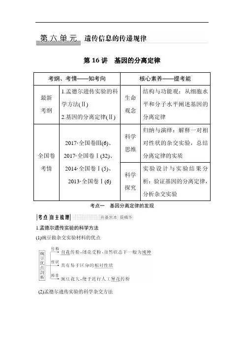 遗传信息的传递规律