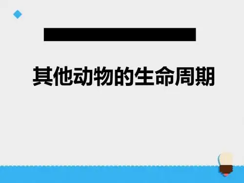 《其他动物的生命周期》动物的生命周期PPT课件