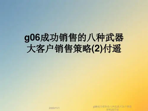 g06成功销售的八种武器大客户销售策略(2)付遥