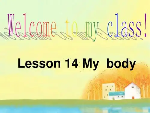 三年级英语上册《Lesson 14 My Body》课件2 (新版)冀教版