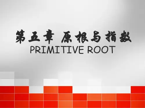【VIP专享】第五章 原根与指标
